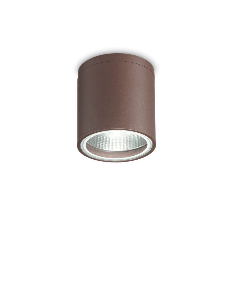 Vonkajšie stropné svietidlo Gun 163666 Ideallux