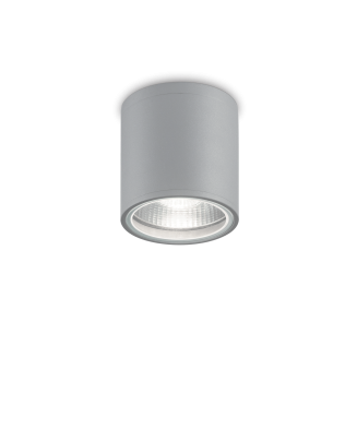 Vonkajšie stropné svietidlo Gun 163642 Ideallux