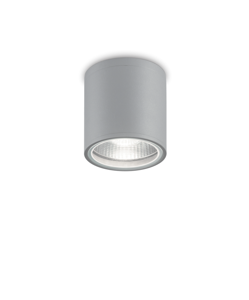 Vonkajšie stropné svietidlo Gun 163642 Ideallux