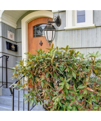 Svietidlo Toronto 8381 RABALUX