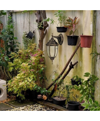 Svietidlo Nizza 8451 RABALUX