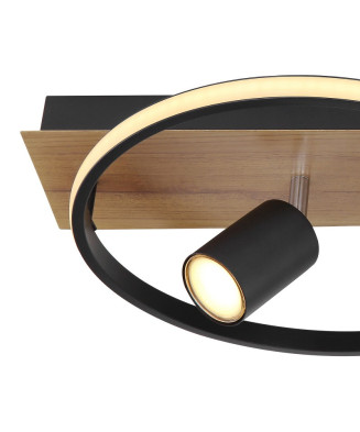 GLOBO 67309-36 DANNY