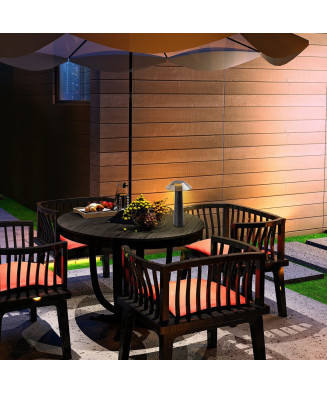 RABALUX 77062 ASSEN vonkajšie svietidlo