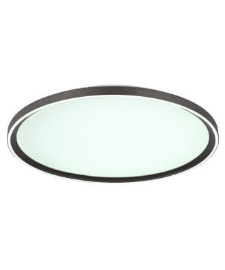 GLOBO DUBLIN 48802-48  stropné svietidlo