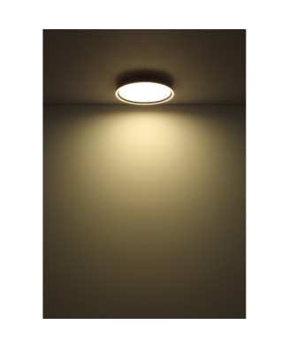 GLOBO DUBLIN 48802-48  stropné svietidlo