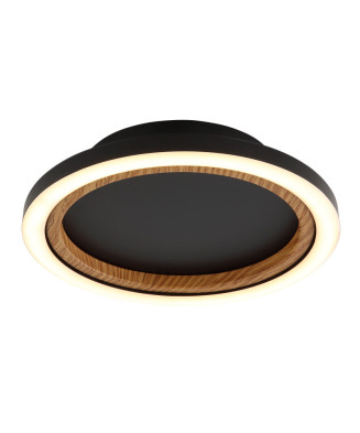 Stropné svietidlo GLOBO 67356D DAKARI I LED 12W 230V