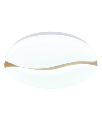 Stropné svietidlo GLOBO 41790-20 LETICIA LED 24W 230V