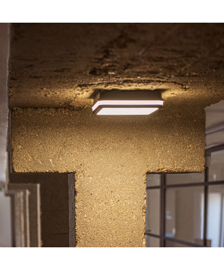 Kanlux 38787 BENO 12-18W CCT-L G stropné vonkajšie svietidlo IP65