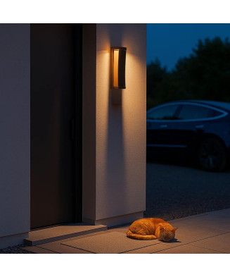 Rabalux 77068 Bradu Vonkajšie nástenné svietidlo LED 12W IP65