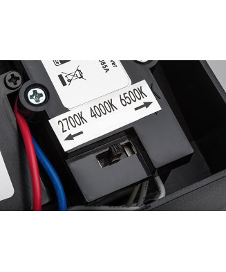 Rabalux 77119 Batida vonkajšie svietidlo so senzorom LED 9W IP54