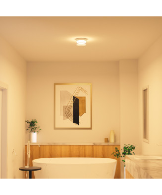 Italux Enios PLF-63829-WH stropné svietidlo LED 9W 1000lm 2800K/4000K/6000K IP65